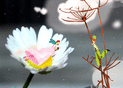 Fleur enchant&eacute;e pour c&eacute;l&eacute;brer l'arriv&eacute;e